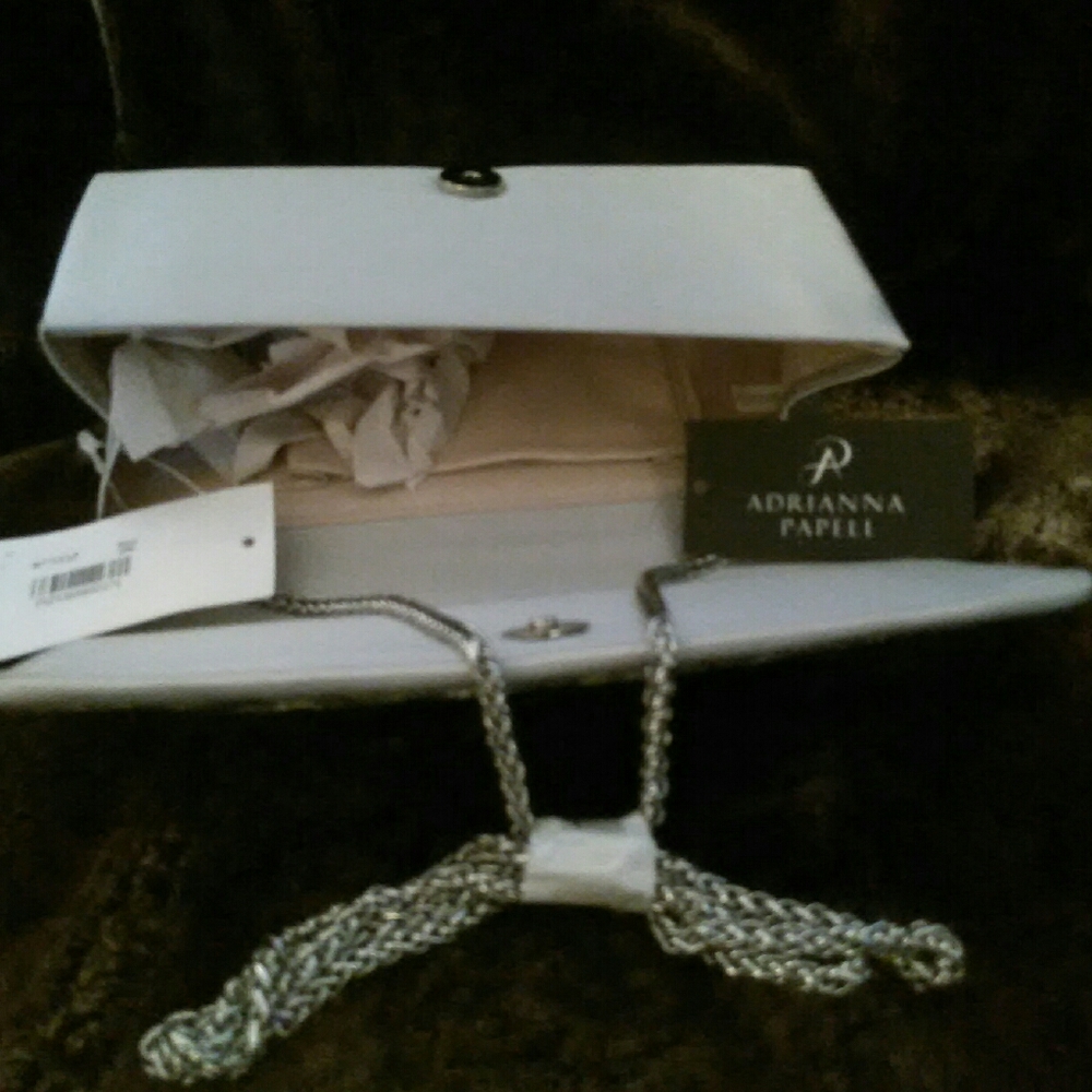 Clutch Purse - Picture 5 of 6